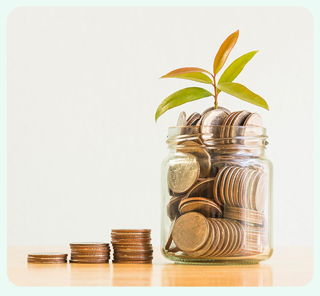 Fund Conservation