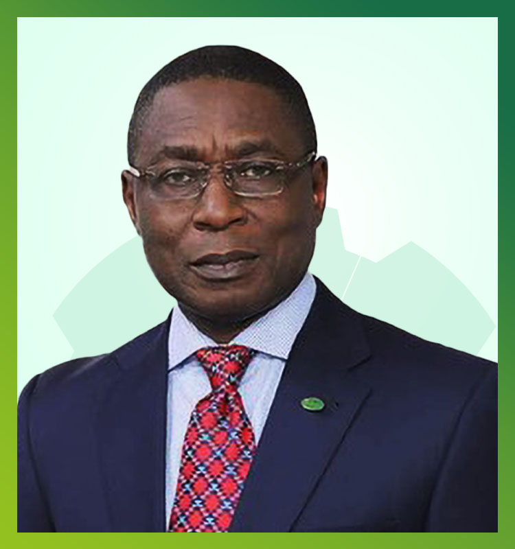 Dr Olasupo Olusi