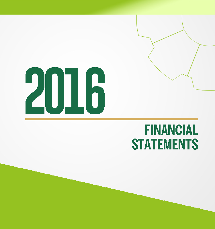 Financial Statement